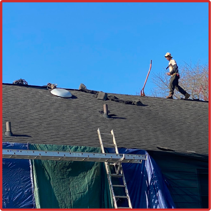 TPO Roofing